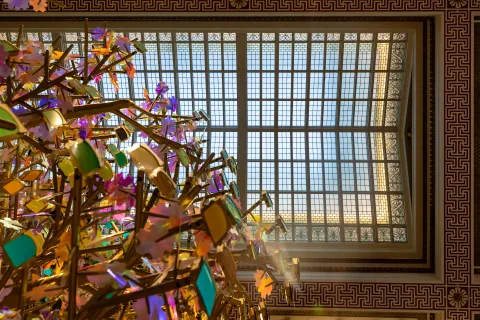 A photograph of the ceiling at MCAAD.