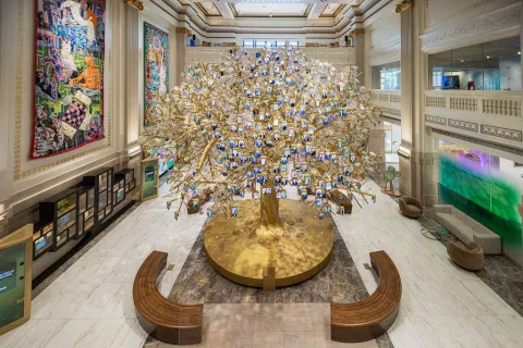 The featured image in the Washingtonian article of the Tree of Generations.